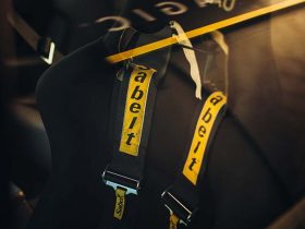 Harness
