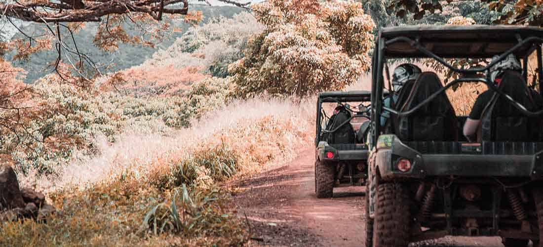 Utility UTVs on road