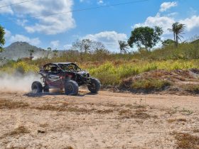 best UTV brands