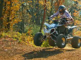 Sport quad riders jump when riding on a forest road